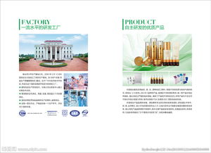 专业代理代办 工厂及产品图片服务